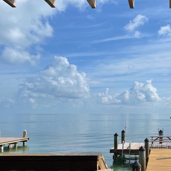 Meet your Posher, Isabela - Picture 1 of 1